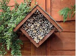 Solitary Bee Nest Boxes