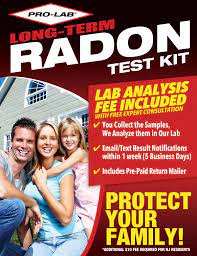 radon gas test kit long term pro