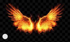 fire wings images free on