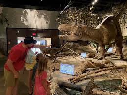 royal tyrrell museum 7 reasons to