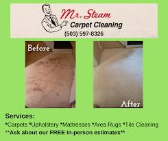 mr steam carpet cleaning hillsboro