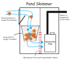 choosing a pond skimmer everything