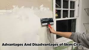 advantages and disadvantages of skim