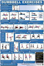 15 Prototypic Gym Steps Chart