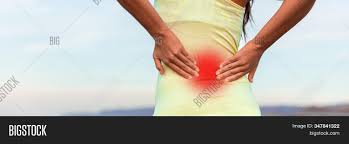 Low back muscle spasming is common because lumbar extensor muscles must contract eccentrically, isometrically, and concentrically whenever we bend the two largest muscle groups of the back are the erector spinae group and the transversospinalis group. Fitness Sport Woman Image Photo Free Trial Bigstock