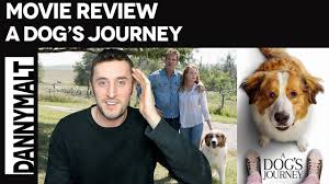 Bruce cameron , cathryn michon , maya forbes , and wally wolodarsky. A Dog S Journey 2019 Movie Review Youtube