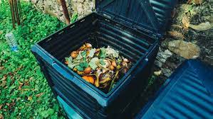 Starting A Compost Bin A How To Guide