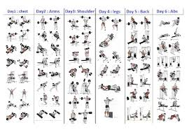 gym workout plan for beginners pdf 6