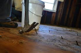 how to remove mold from wood floors