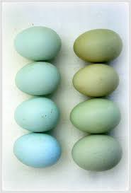 Egg Love Colour Charts Duck Egg Blue Color Inspiration