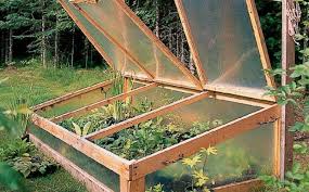 Cold Frame Free Woodworking Plan