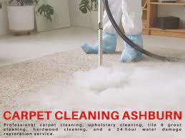 profesional cleaning service company in