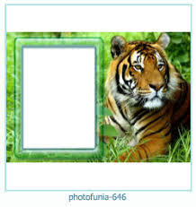 photofunia frames tiger