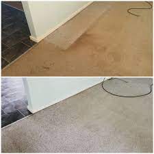 carpet cleaning in maitland hunter