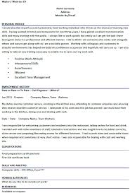 Stunning Professional Skills Resume    How To Write A Section   CV    