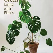 Pdf Indoor Green Living