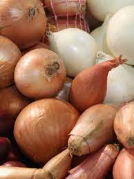 CDC recalls whole onions, source of ...