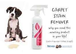 norwex carpet stain remover review