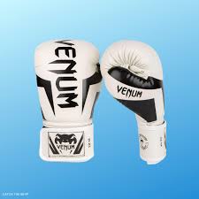 best boxing gloves in 2023