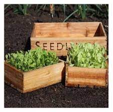 Seed Tray Set Harrod Horticultural Uk