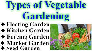 vegetable gardening