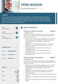 Contact information, personal statement, work experience, education, skills, additional information. Sample Resume Format Cv Template For Job Search Presentation Graphics Presentation Powerpoint Example Slide Templates
