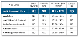 Visa Points Rewards gambar png