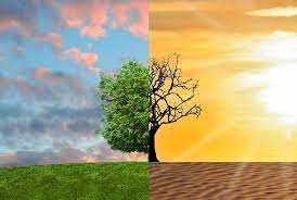 climate change and environmental issues