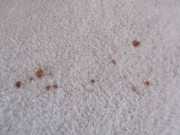 old spots out of white carpeting