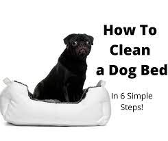 how to wash a dog bed in 6 simple steps