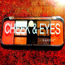 santee cheek and eyes makeup palette on