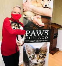 See more of chicago cats, kittens, and kitties for adoption on facebook. Tania Sofia Doble Independent Contractor Tania Sofia Linkedin
