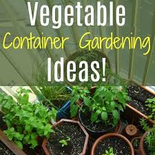 vegetable container gardening ideas