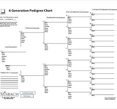 The Fifth Generation Pedigree Chart Is A Used To Keep