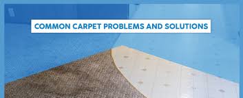 common carpet problems and solutions