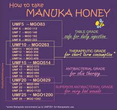 Deciphering Manuka Honey Umf15 Mgo400 24 Bio Active