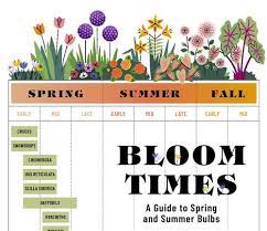 how to plan a spring bulb garden