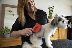 Mobile dog grooming prices will also vary based on the services you need, the area you live in, and your dog's temperament and breed. East Bridgewater Resident With Passion For Dogs Opens Grooming Business News The Enterprise Brockton Ma Brockton Ma