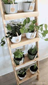 13 Indoor Plant Shelf Ideas You Ll Want