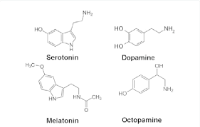 serotonin dopamine melatonin