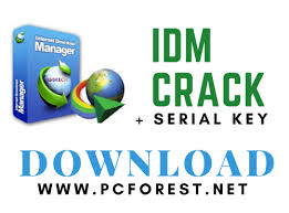 Helps in managing downloaded videos: Idm Crack 6 38 Build 22 Patch Serial Key Free Download