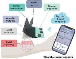 Skin Interfaced Wearable Sweat Sensors