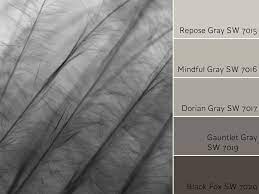 color review for repose gray