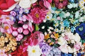 They're the world's most popular and acclaimed flower used. The Meaning Of Flowers You Need To Know Flower Delivery Singapore Eco Friendly Flowers Flower Delivery Flowers