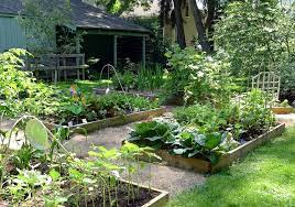 Starting A Home Vegetable Garden