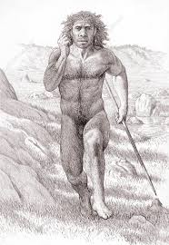 Neanderthal man - Stock Image - E438/0141 - Science Photo Library