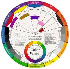 The Color Wheel 23cm Foxy Studio