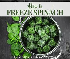 how to freeze spinach 2 best ways for
