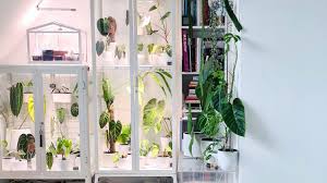 the ikea greenhouse cabinet is the