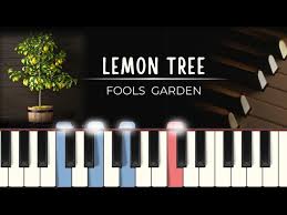 lemon tree fools garden midi